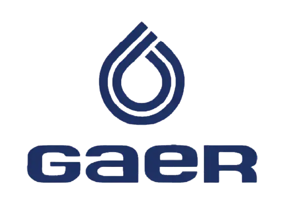 Logo de gaer